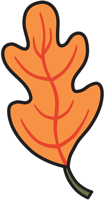 oak leaf illustration