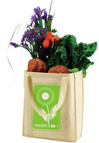 2008 WMBR Reusable Grocery Tote Bag